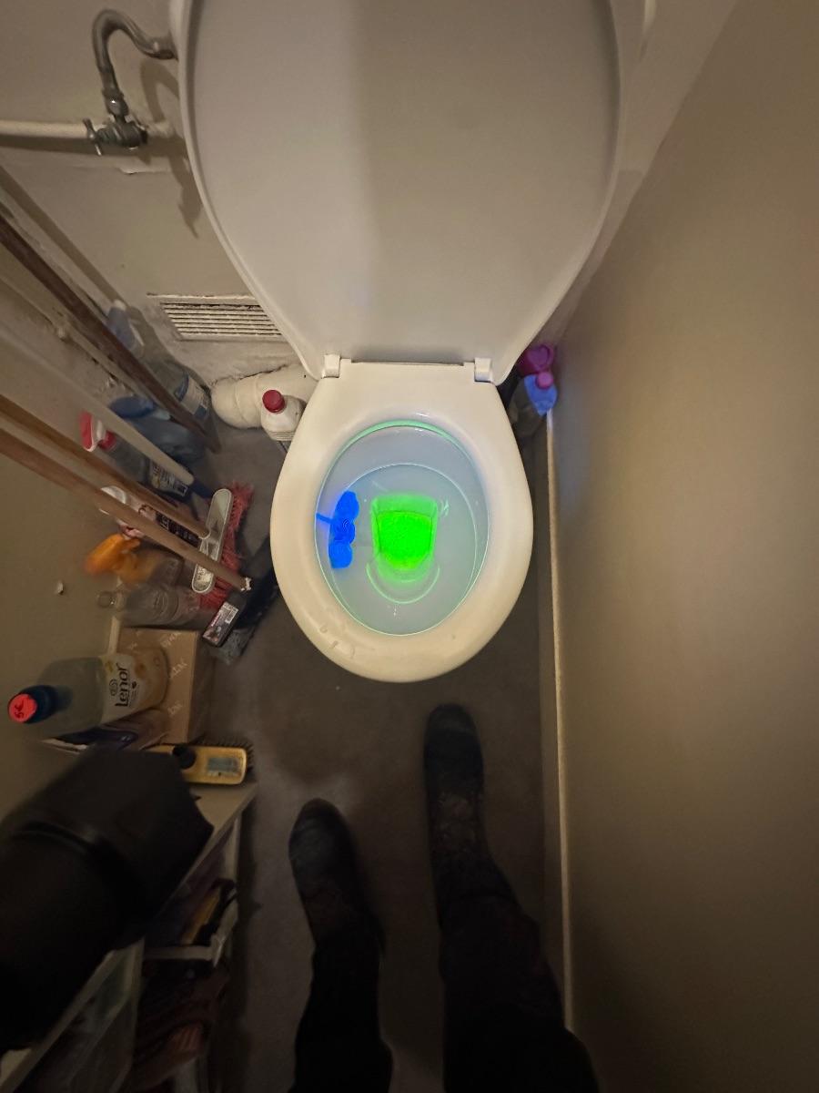 Test colorant WC – recherche fuite chasse d'eau