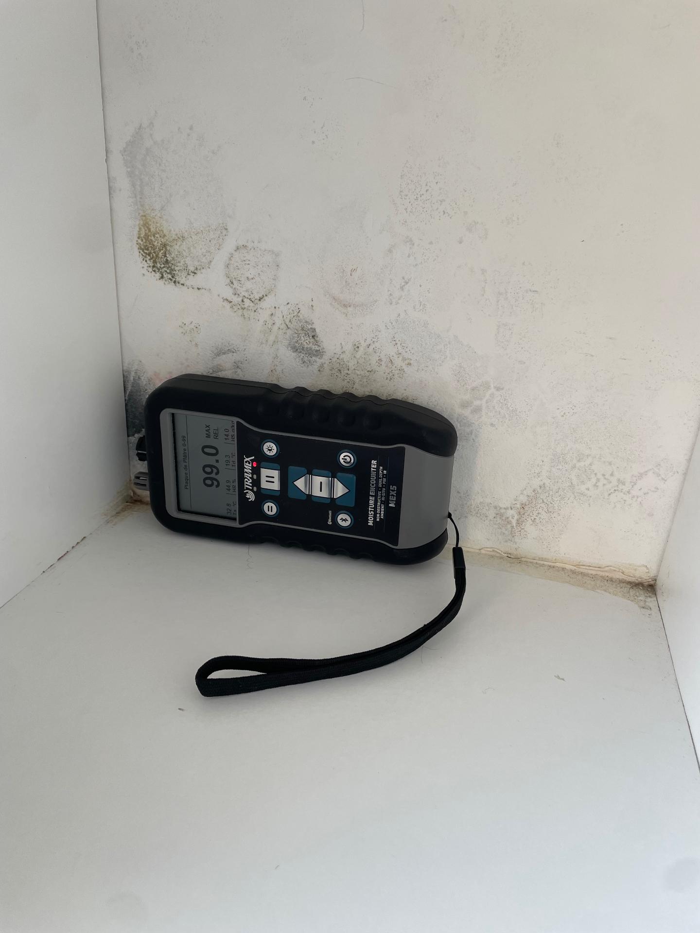Humidimètre Tramex MEX5 – mesure d'humidité mur avec moisissures