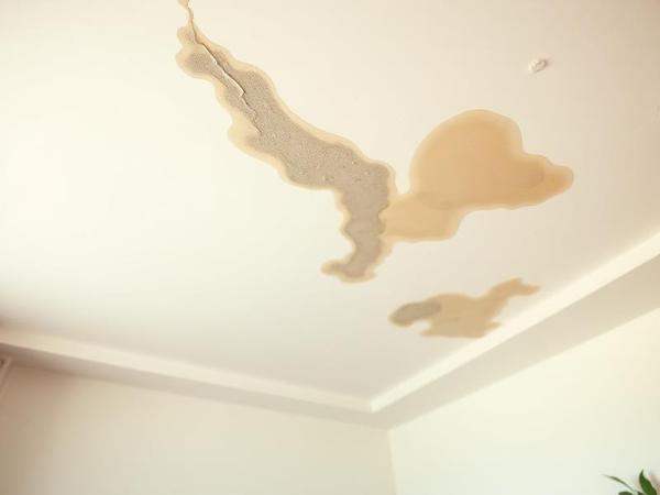 Tache d'humidité et auréole sur un plafond